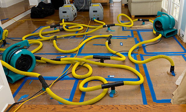 Professional Water Damage Repair technician working in Franklinville, NC