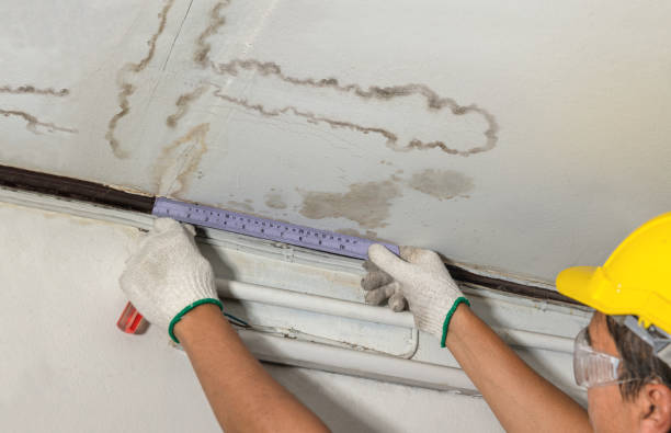 Affordable Water Damage Repair solutions in Franklinville, NC